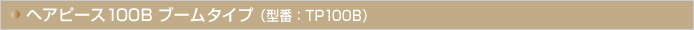 wAs[X100B@u[^Cv